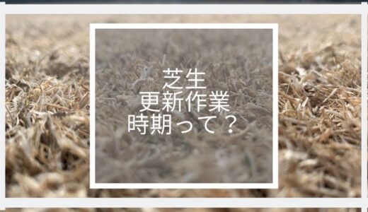 芝生更新作業待ちきれないあなたへ